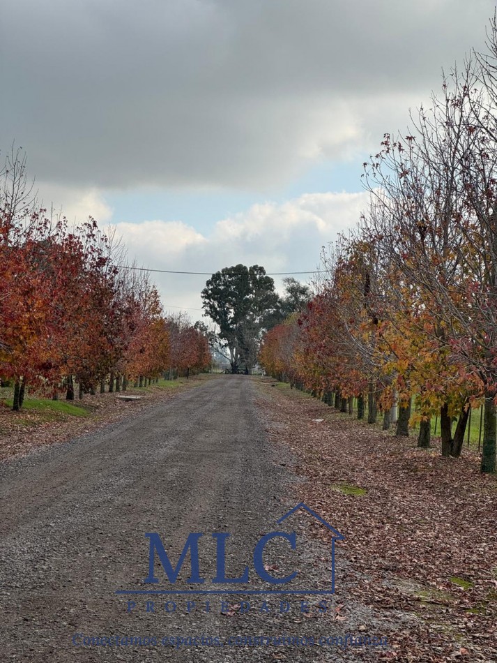 LOTE EN VENTA BARRIO LA FLORENTINA -SAN MIGUEL DEL MONTE